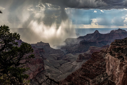 Grand Canyon Afternoon Storm, Arizona