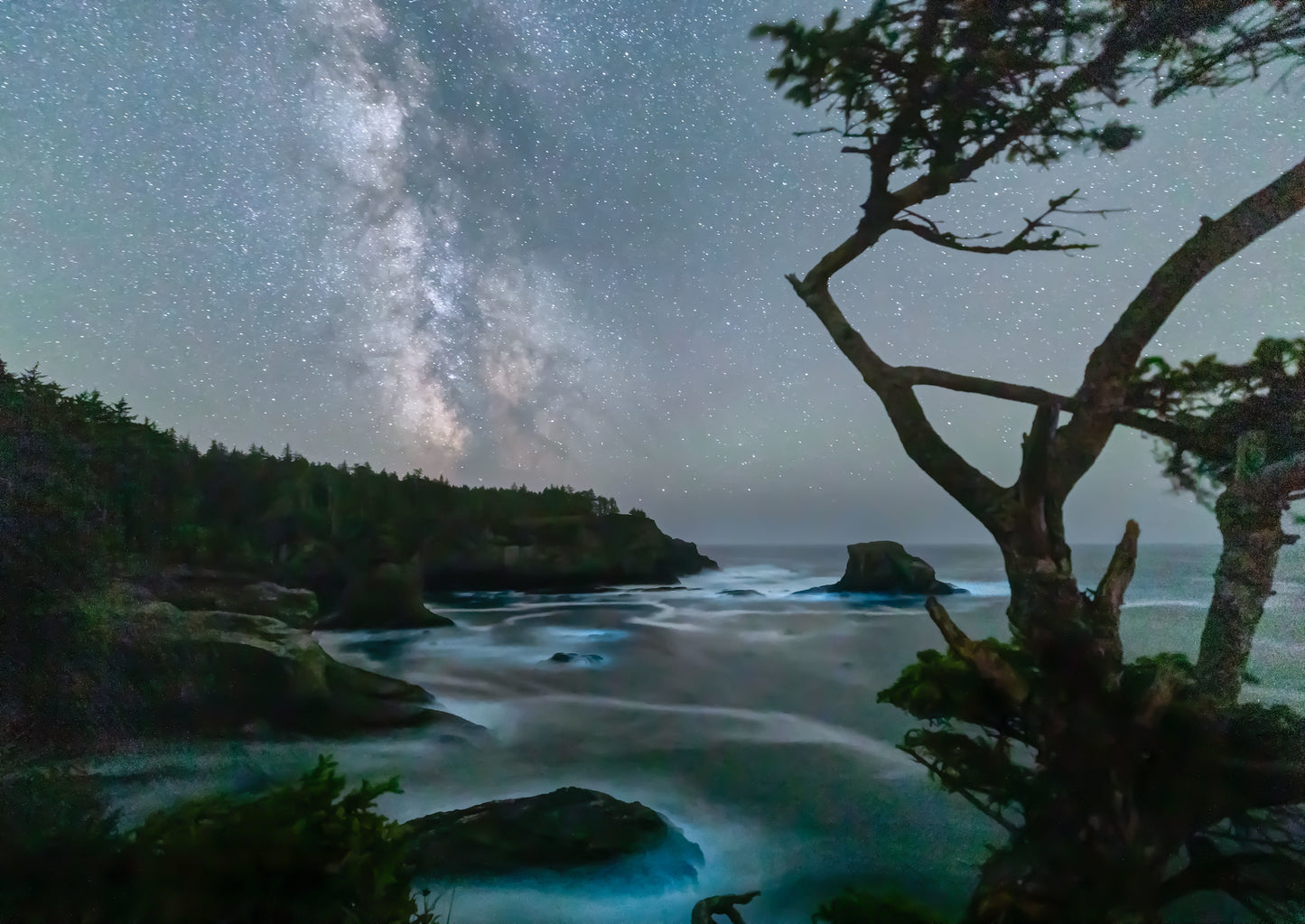 Bioluminesence at Cape Flattery
