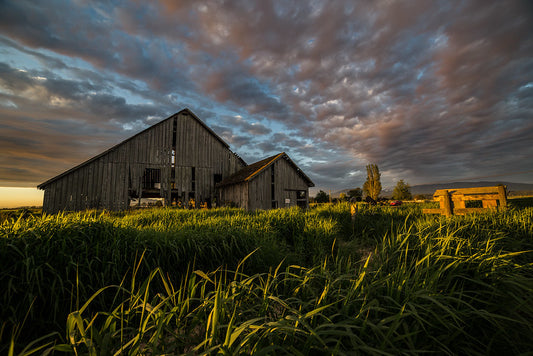 Skagit Valley Barn Sunset