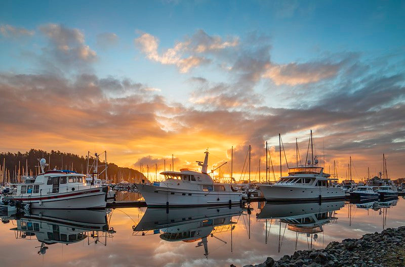 Cap Sante Marina, Anacortes