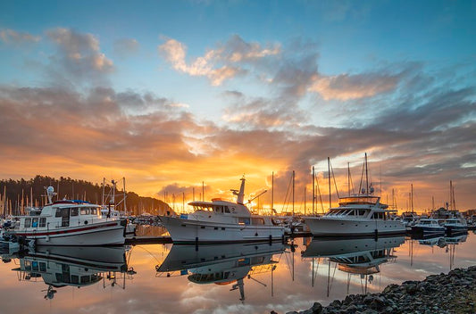 Cap Sante Marina, Anacortes