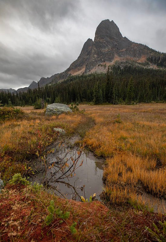 Liberty Bell, Autumn Colors