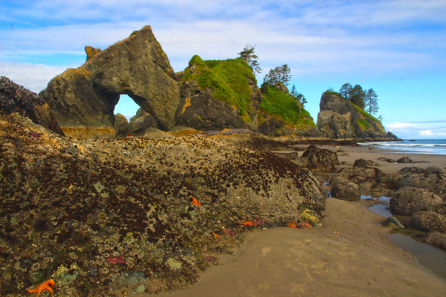 Sea Arch Point of the Arches, Olympic National Park