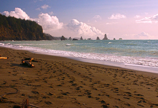 Giants Graveyard from Third Beach, Olympic National Park