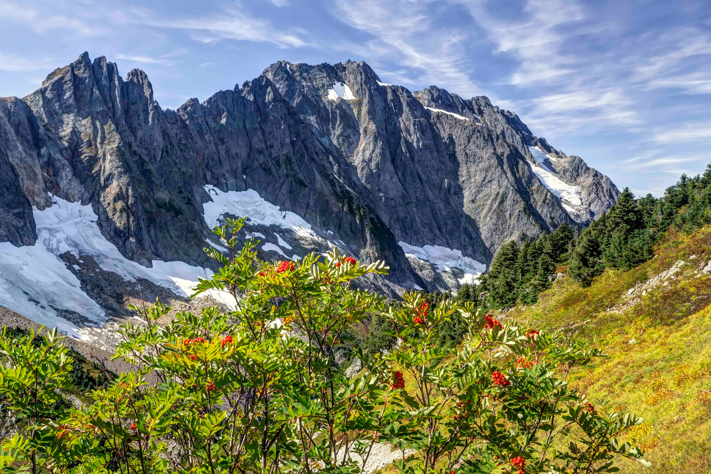 Above Cascade Pass Fall Colors