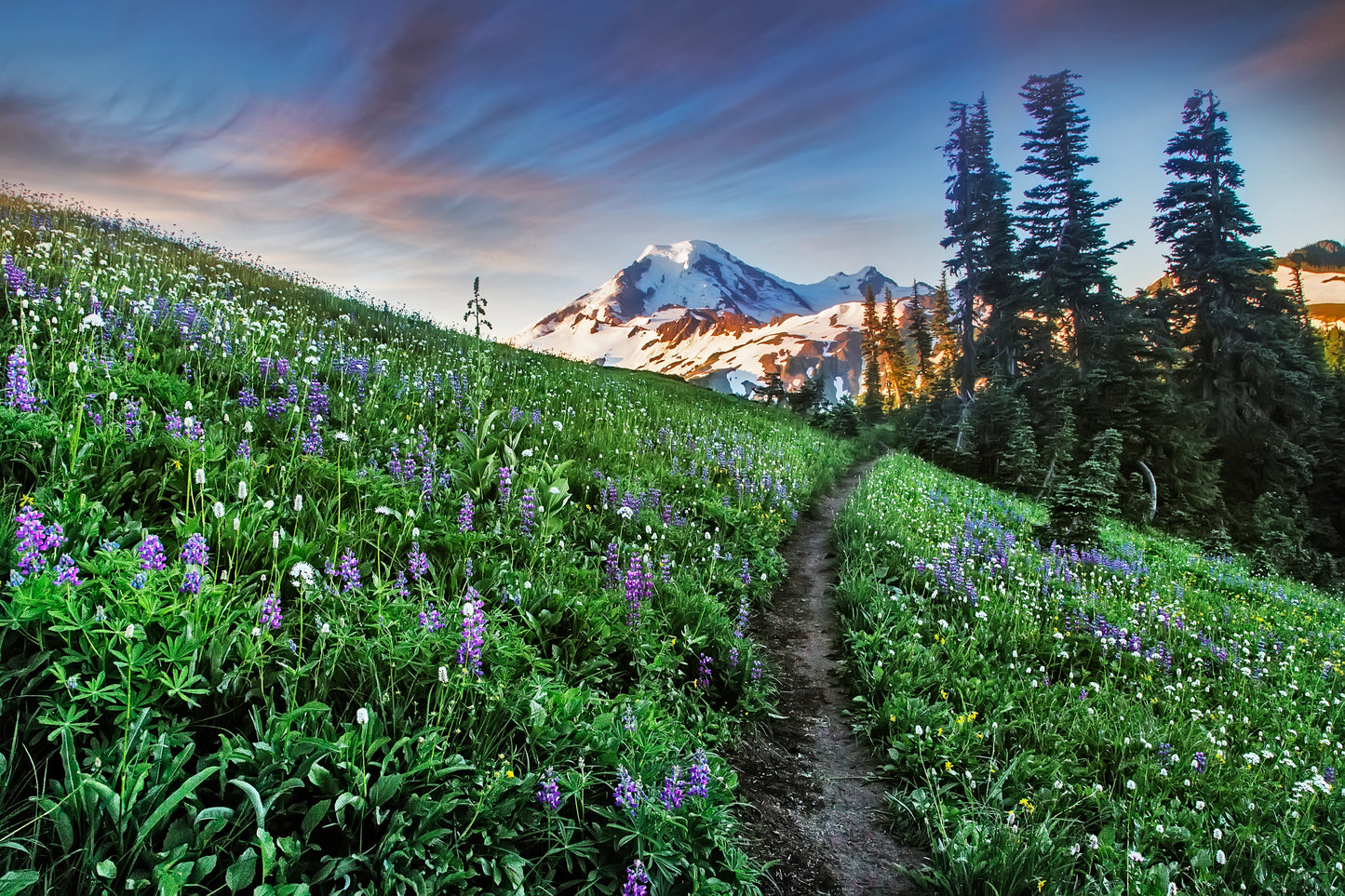 Mount Baker Skyline Divide
