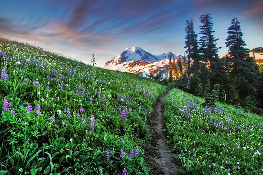 Mount Baker Skyline Divide