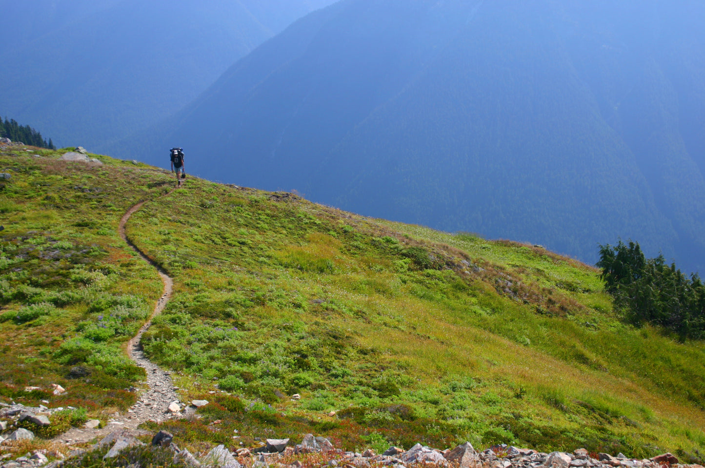 Arriving at Copper Ridge Lookout