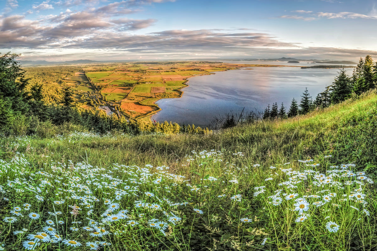 2027 Skagit Valley Calendar