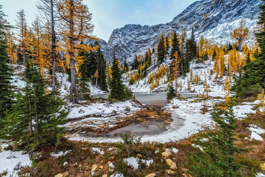 Blue Lake and Larch