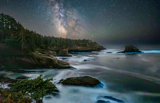 Bioluminesence at Cape Flattery