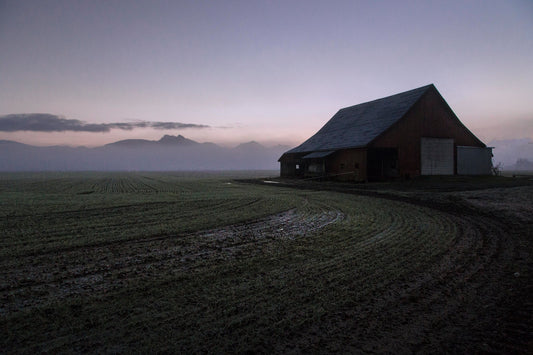 Early Morning, Skagit Valley