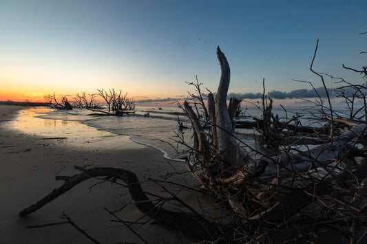 Edisto Beach Snags, South Carolina