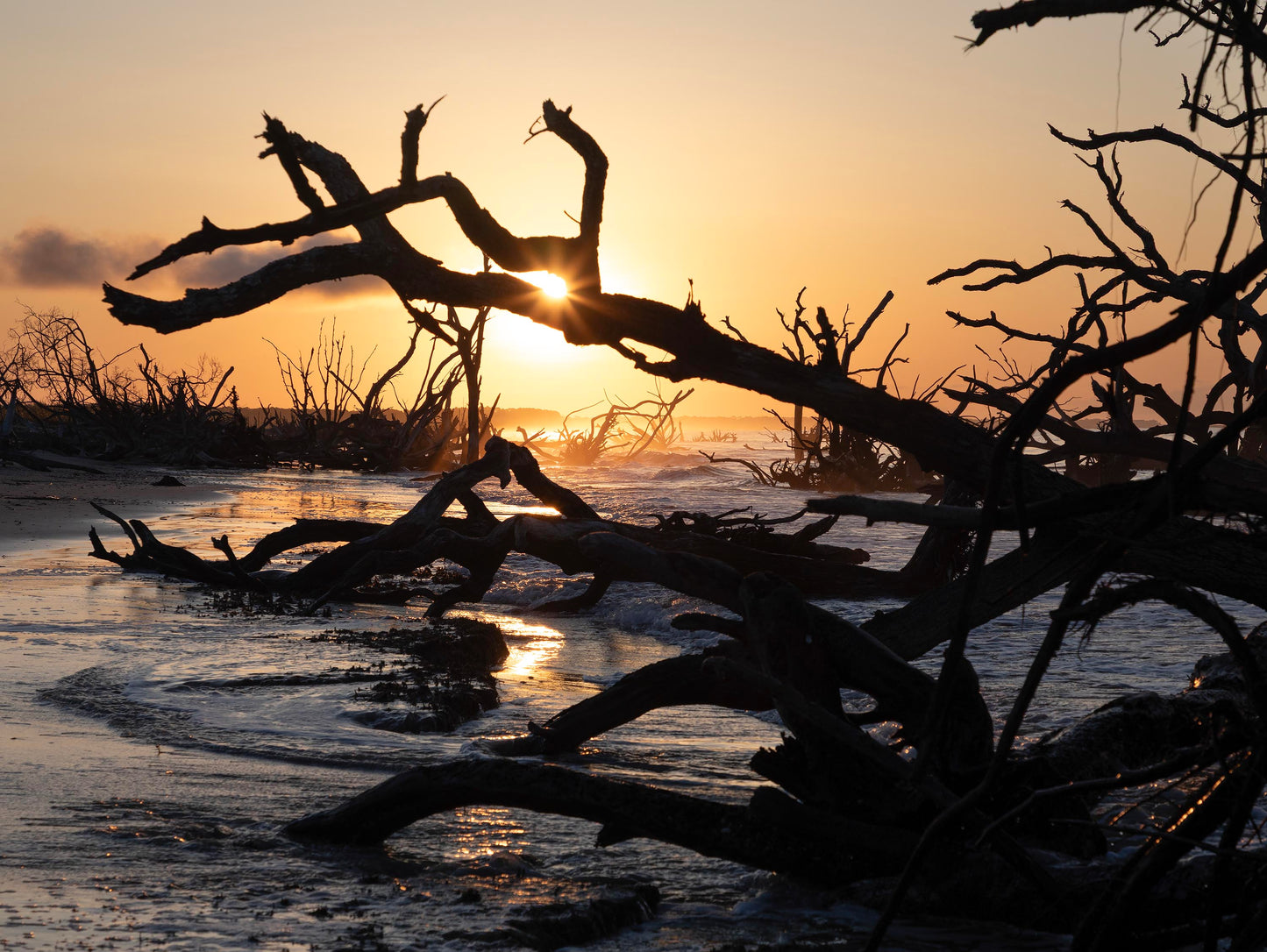 Edisto Beach Sunrise, South Carolina