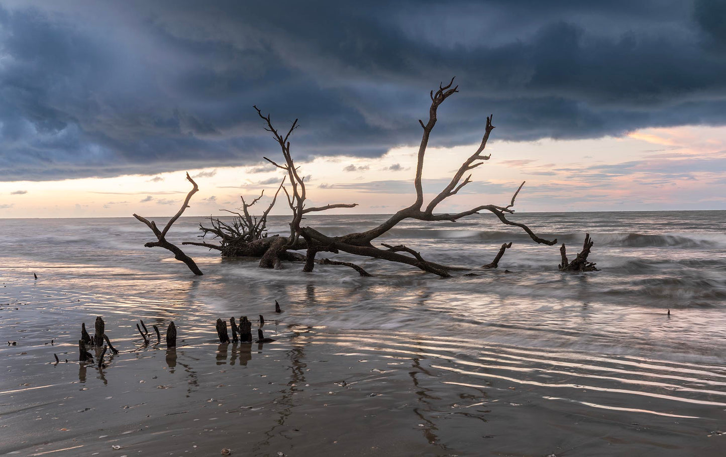 Edisto Beach Snags, South Carolina