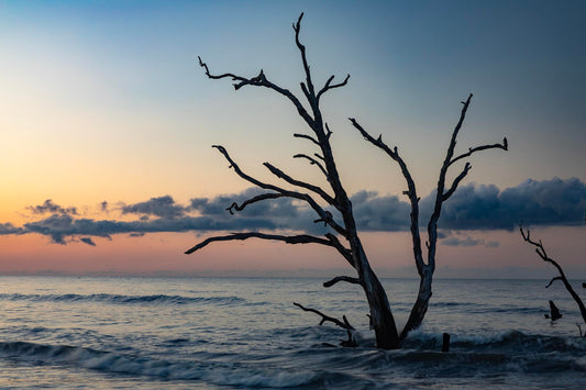 Edisto Beach Snags, South Carolina