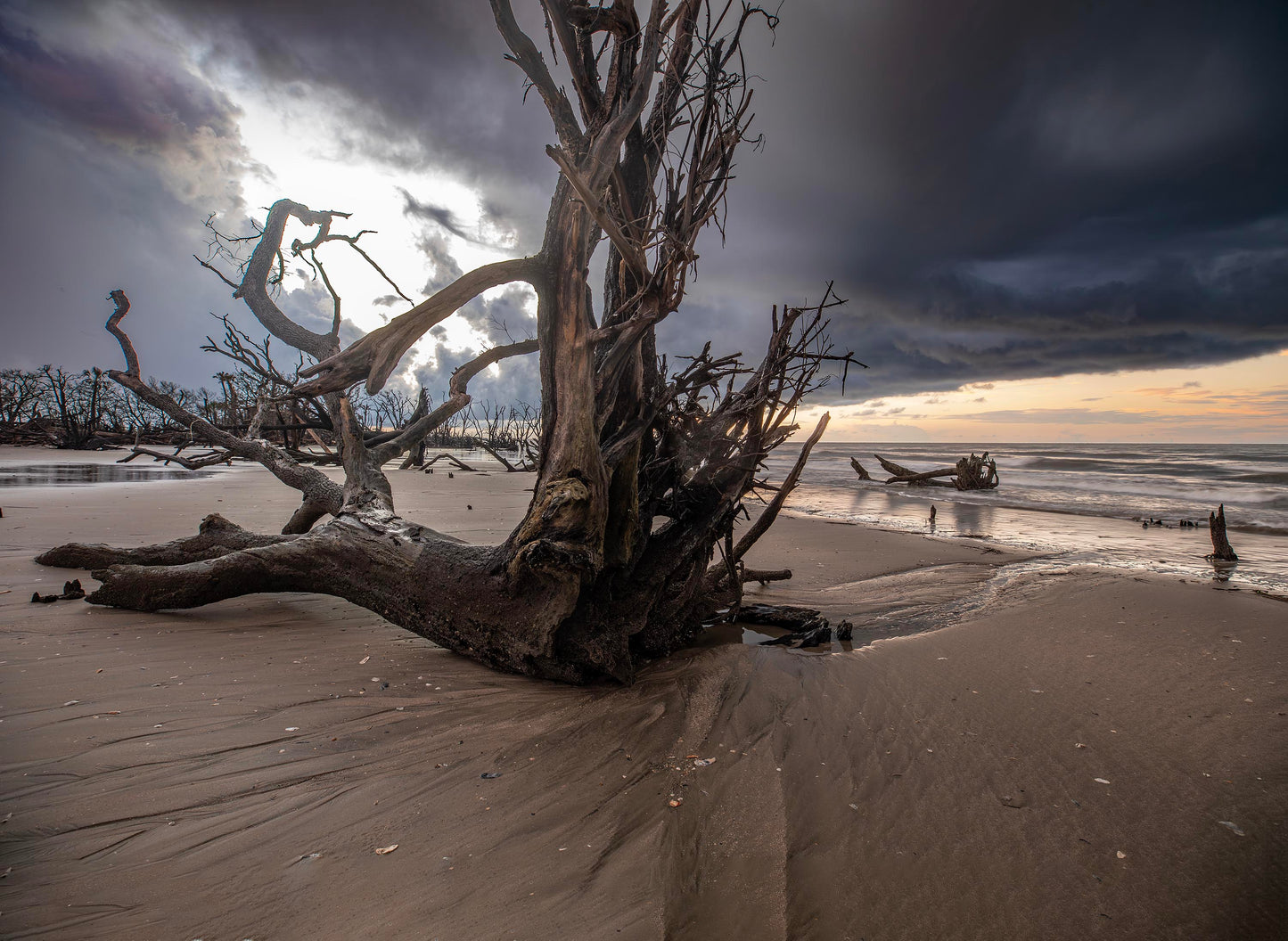 Edisto Beach, South Carolina