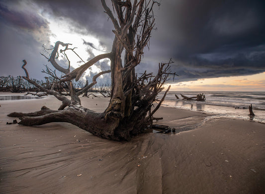 Edisto Beach, South Carolina