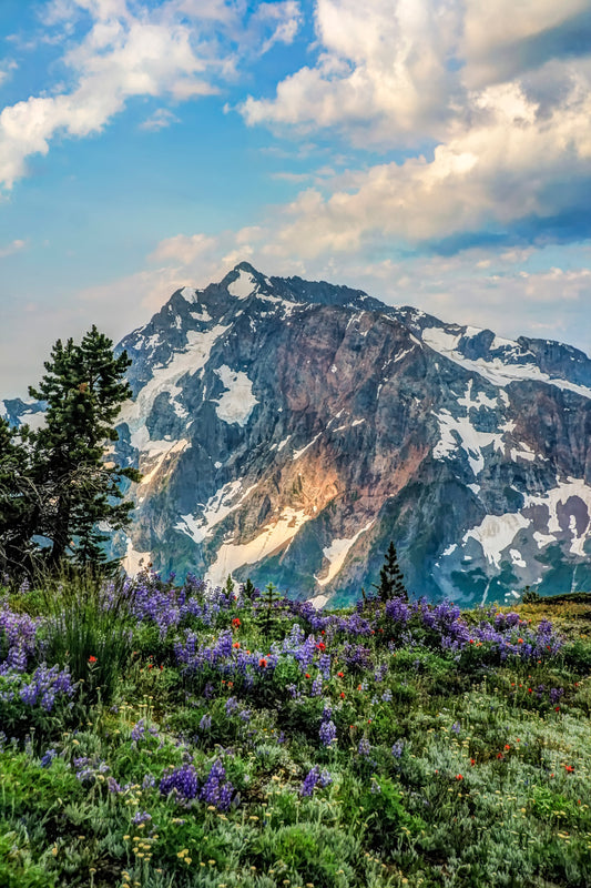 Jack Mtn from Devils Dome, Pasayten Wilderness