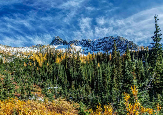 Blue Lake Trail Larch