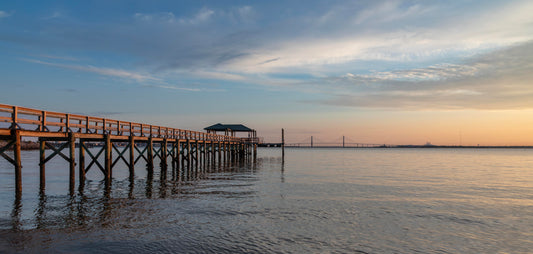 Melton Peter Demetre Park, Charleston
