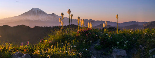 Mt Rainier from Goat Rocks