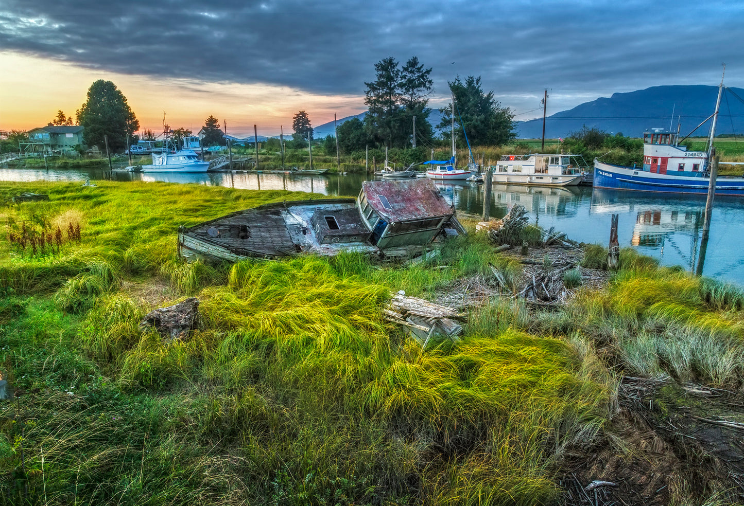 Abandoned Fishing Boat at the mouth of the Samish River, Skagit Valley