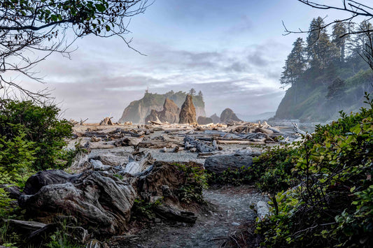 Ruby Beach, Olympic Coast