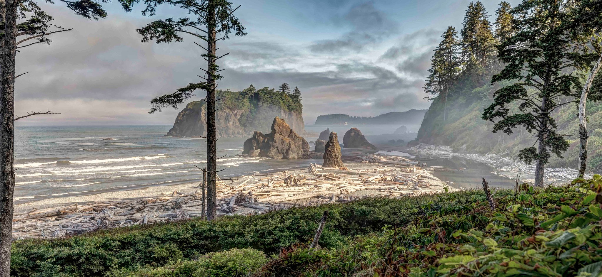 Ruby Beach Panorama – Andy Porter Photography