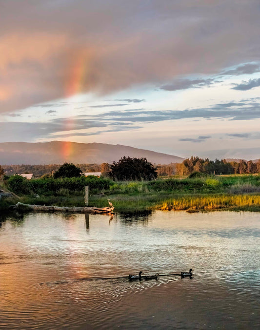Samish River Rainbow and Sunset