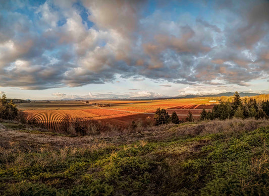 Skagit Valley at sunset