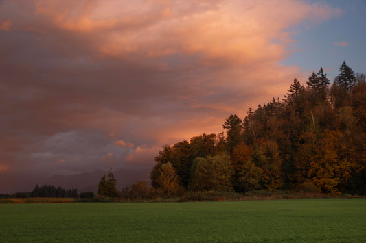Skagit Valley Sunset