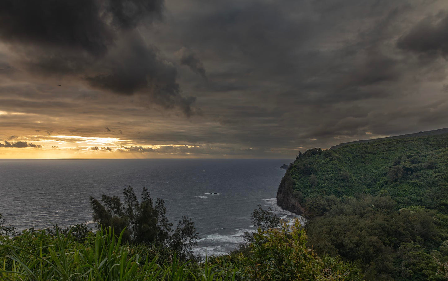 Hawaii Beach Sunrise