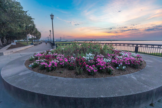 Sunrise at Waterfront Park, Charleston, South Carolina