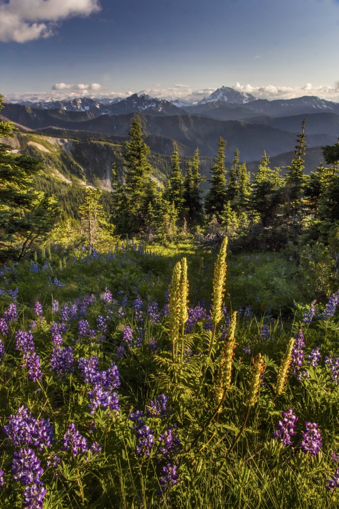 The Northern End of the Pacific Crest Trail | North Western Images ...