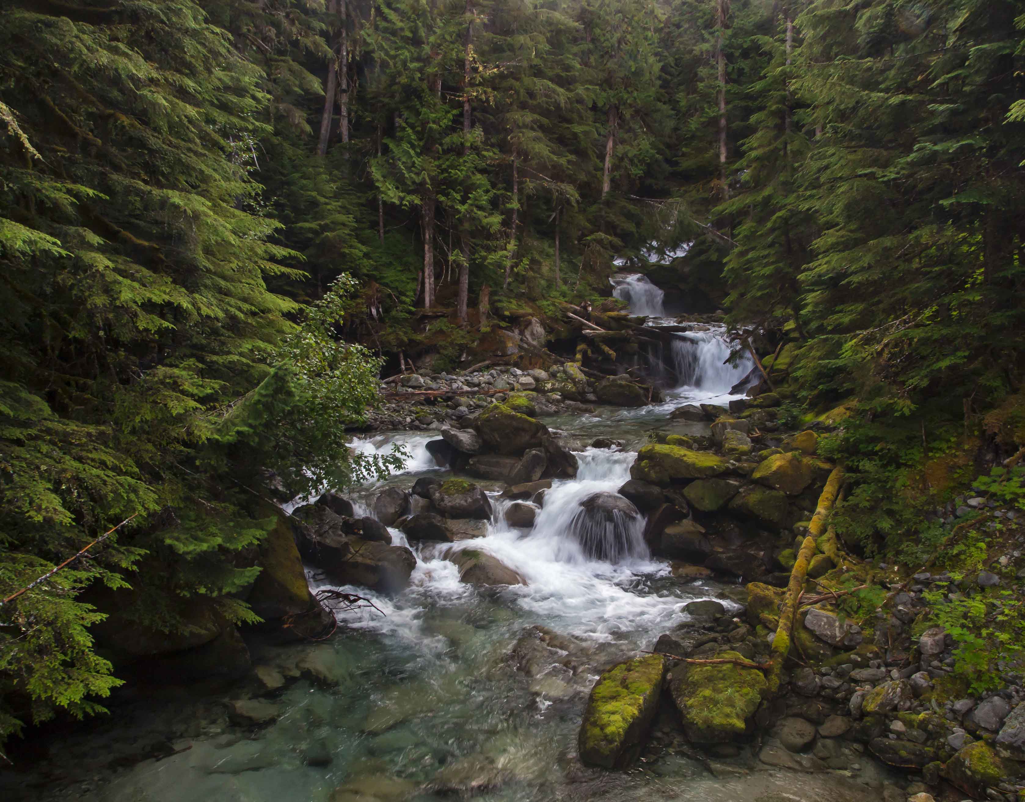 Indian Creek Waterfall, North Cascades National Park.