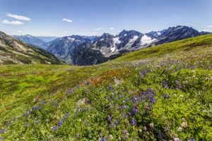 Images of North Cascades National Park