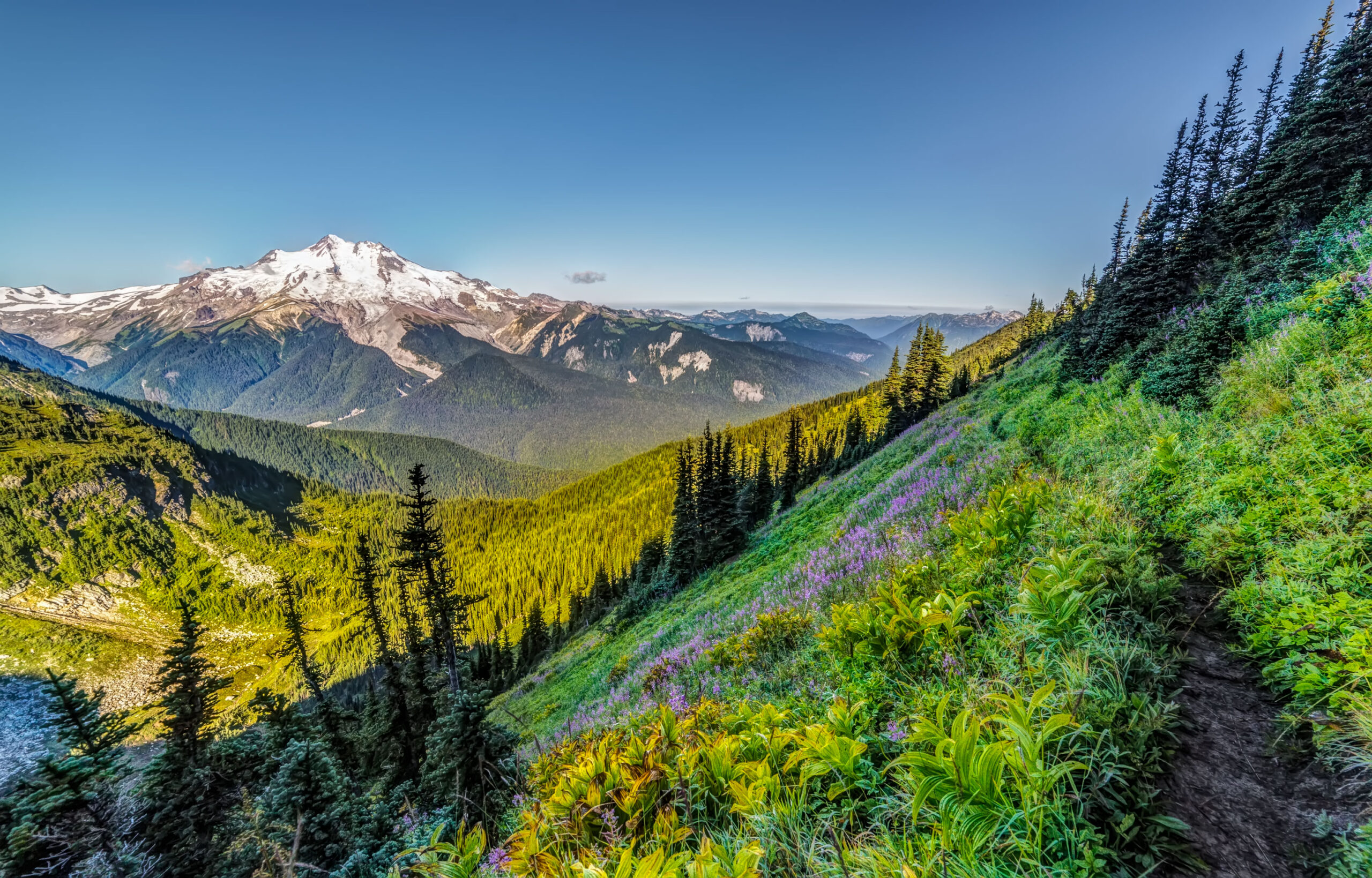 Glacier-Peak-and-Liberty-Cap-Trail,-Glacier-Peak-Wilderness-2023 - Andy ...